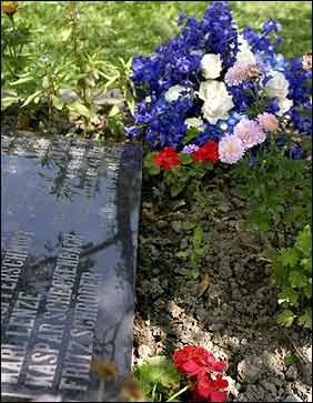 什么花适合种在墓地?