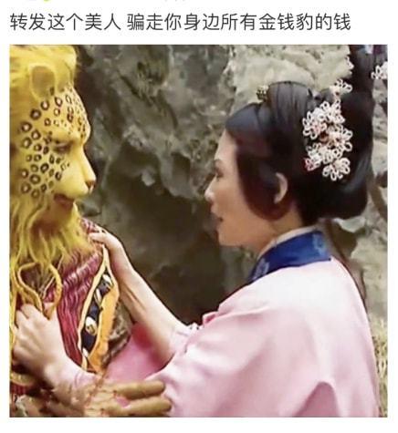 一夜之间全网都在发金钱豹这是什么操作