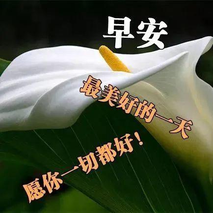 大年十一新版早上好暖心祝福短信虎年新春朋友圈漂亮的早上好问候语