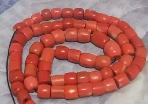 珊瑚的药用价值