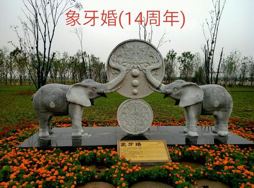 象牙婚(结婚满14周年)