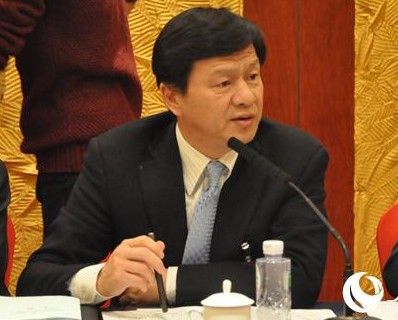 许树强:政府应尽快出台政策导向促进医联体建设