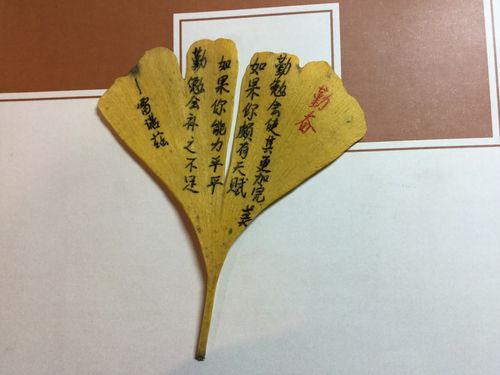 银杏叶书签