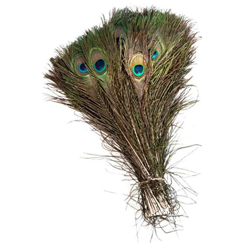 peacockfeather优质孔雀羽毛25-30cm孔雀尾一件代发