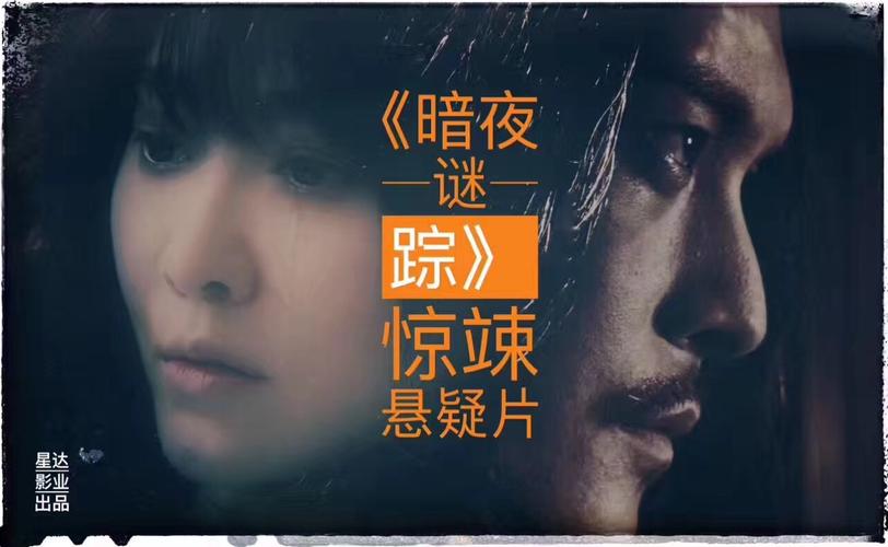 星达出品-《暗夜谜踪》