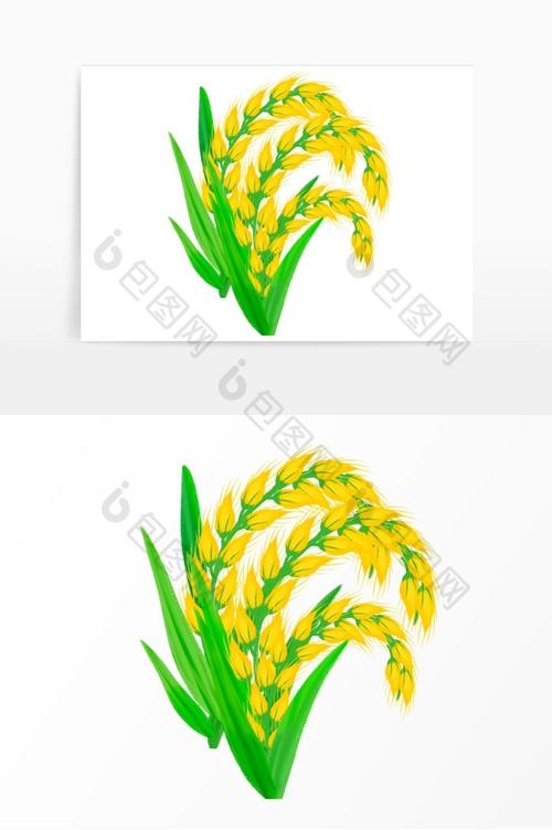 芒种节气稻穗麦子稻子图片