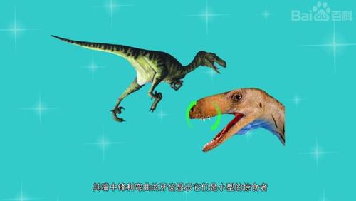 暴龙有哪些品种?