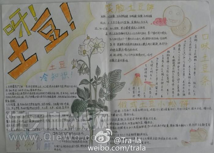 关于土豆的手抄报