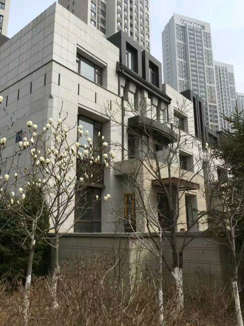 星海颐和星海豪华精装别墅 挑空大厅带大院_大连二手