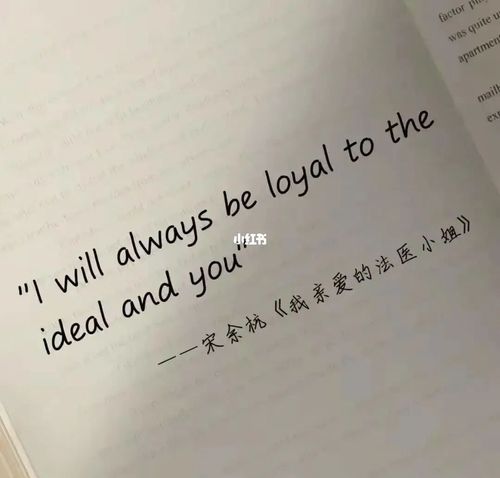 我亲爱的法医小姐!_阅读_文化_阅读