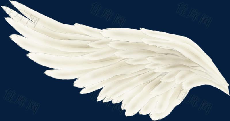 手绘羽毛翅膀