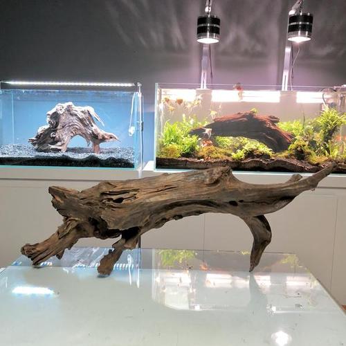 购客摆件造景造景直播选沉木沉木鱼缸超白缸草缸素材天然装_易购客
