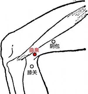 2,曲泉=当归 白芍(臣药)