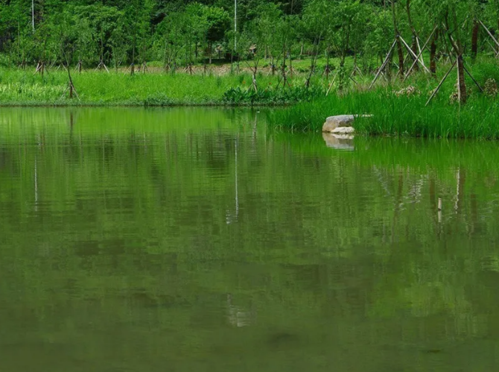 镇海九龙湖省级湿地公园