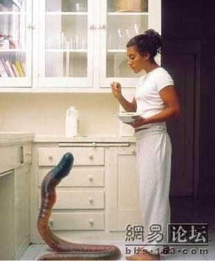 蚯蚓有眼睛吗?看的见吗?