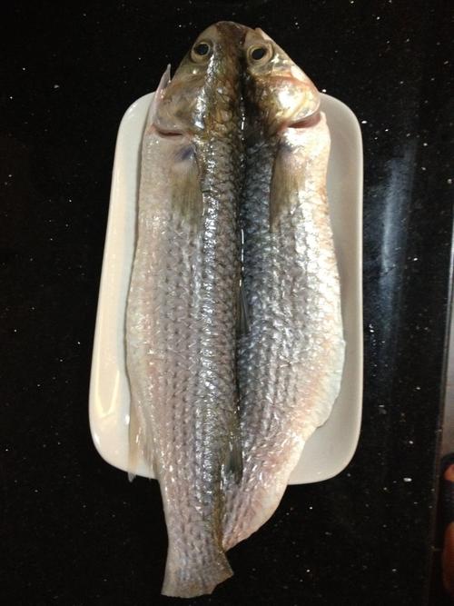 清蒸大乌头鱼的做法步骤4