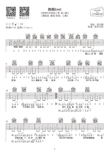 谭维维晚婚live谭维维