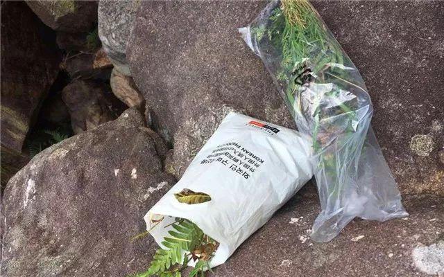 小打小闹小水陆