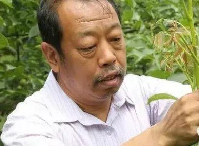一剧丨太行山上新愚公_李保国