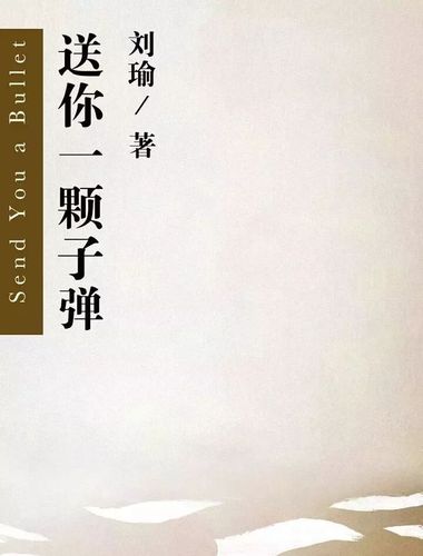 荐读海南华侨中学汤成慧老师为您推荐送你一颗子弹