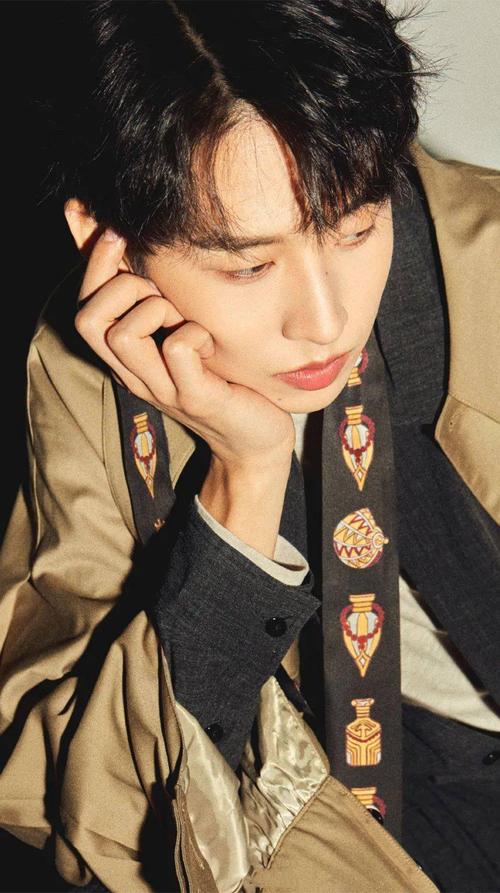 手机壁纸齐思钧