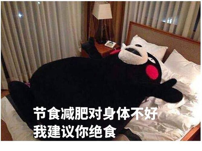 节食减肥对身体不好我建议你绝食异性恋爱太辛苦所以我建议你搞基熊本