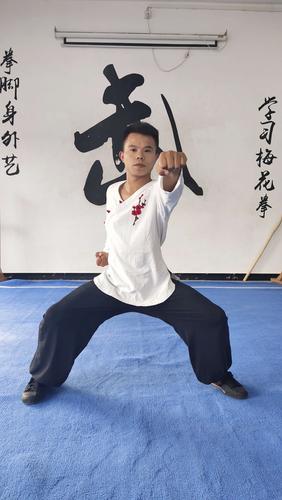 马步冲拳,左拳从腰间向内旋转180°向前冲出力达拳面.