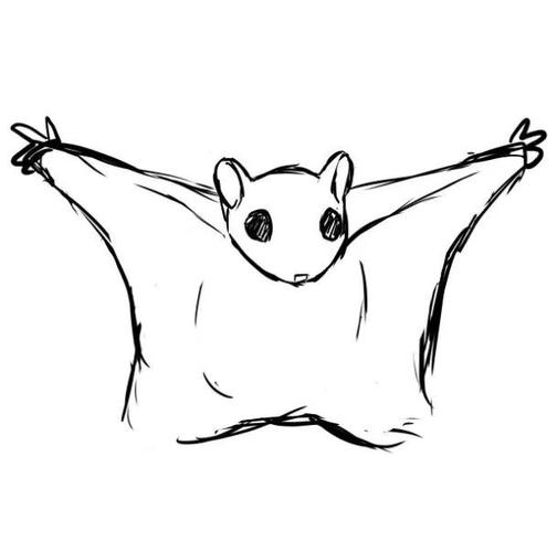 ▼ 飞鼠画到一半