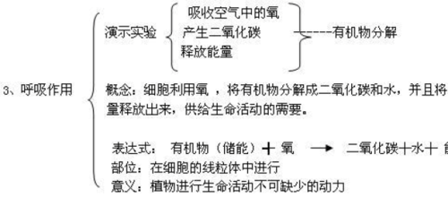 中考生物专题五 被子植物的蒸腾作用,呼吸作用和光合作用