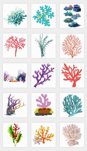可爱卡通海底世界梦幻珊瑚海藻海草水族馆png免扣素材