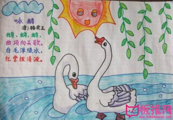 关于古诗的手抄报内容,咏鹅