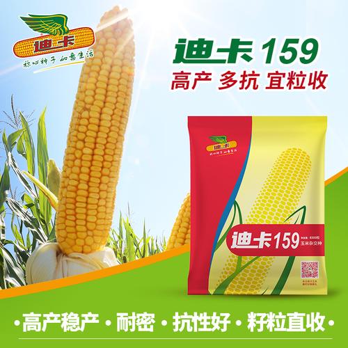 迪卡玉米种子正品保障迪卡159高产多抗宜粒收山西东北新疆宁夏