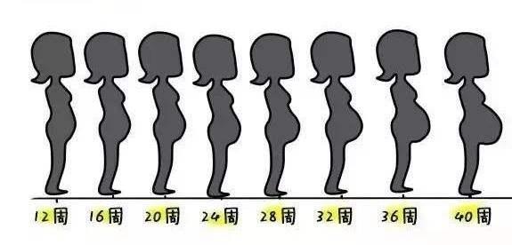 怀孕的过程中,准妈妈们的肚子慢慢变大.