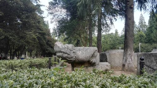 南京午朝门公园