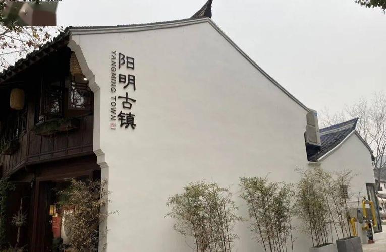 阳明古镇,这条承载着多少余姚老百姓记忆的老街,如今流光溢彩,人流如