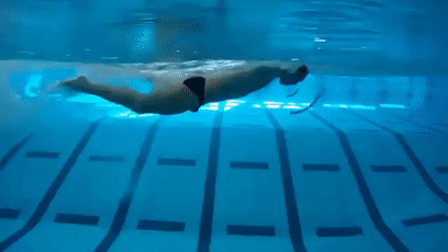 swim the butterfly stroke step 4.360p_00_00_00__00_00_02.gif