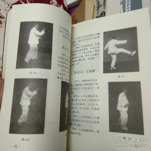 武氏太极拳全书