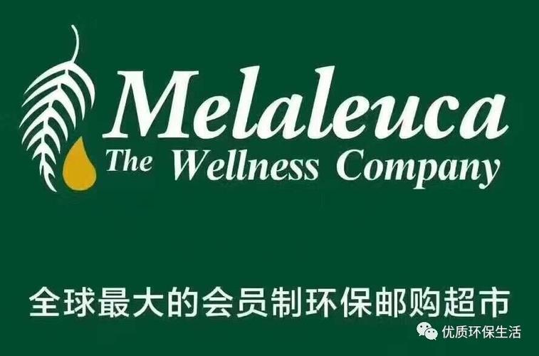 mela|美乐家vip会员权益介绍及说明(更新)