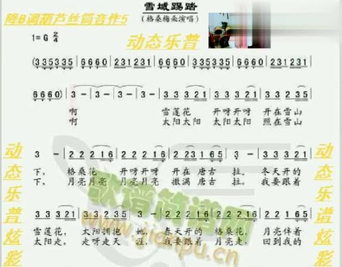 炫彩《雪域踢踏》降b调葫芦丝筒音作5有声动态乐谱