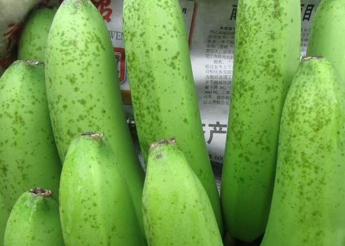  p>香蕉黑星病又称黑痣病,黑斑病,雀斑病等,是由香蕉大茎点霉侵染所