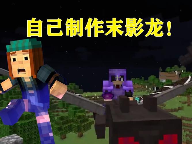 我的世界:因为我引发了一场末影龙空战!