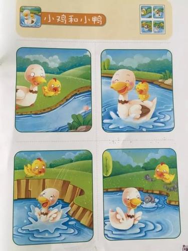 小鸡和小鸭的故事简笔画