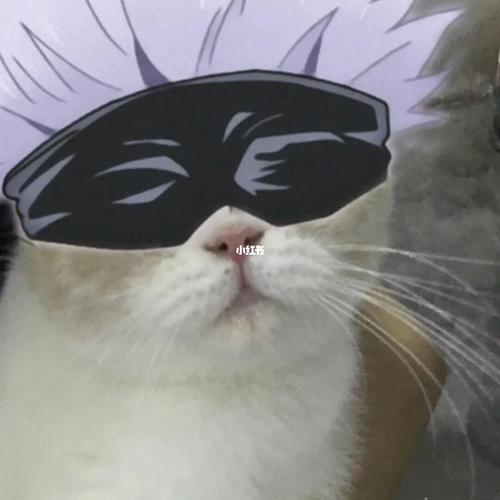 猫咪版五条悟_猫咪_五条悟_咒术回战_咒术回战五条悟_宠物_猫_晒猫