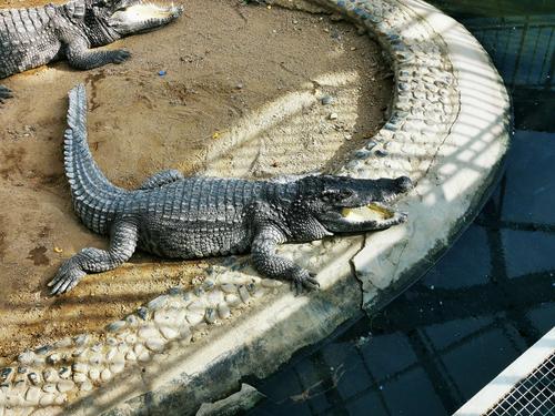 初冬的太原动物园