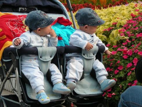 可爱的双胞胎(组图原创)