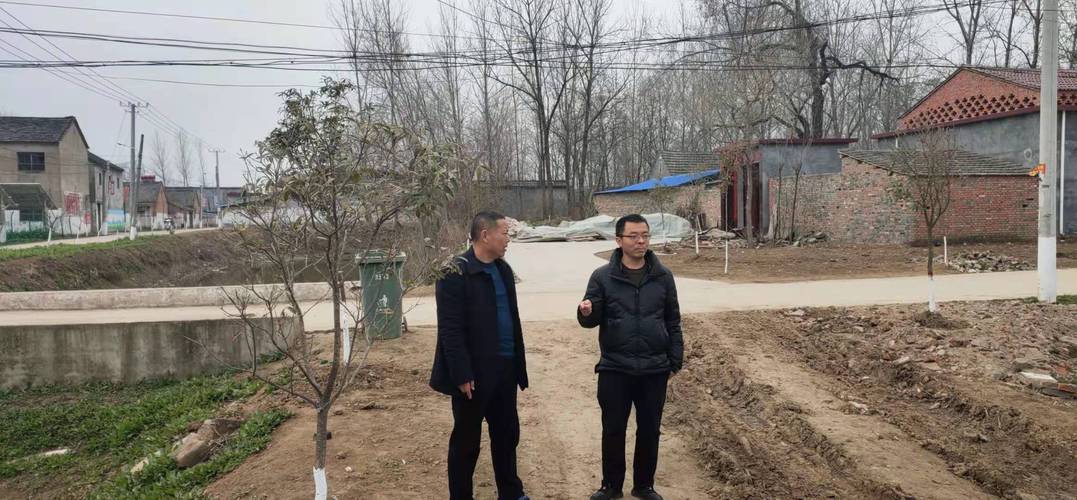 冯营乡人大主席李丰到吕集行政村检查指导乡村振兴工作