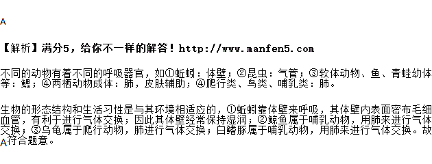 下列生物与其进行气体交换的器官配对正确的是( )