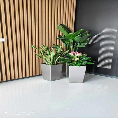 花卉租赁,租摆,批发,零售