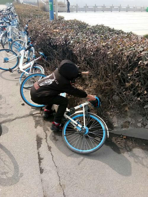 扶起倒下的共享单车