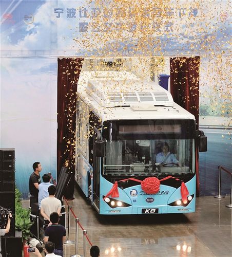 市委副书记,市长裘东耀,比亚迪股份有限公司董事长,总裁王传福,副市长